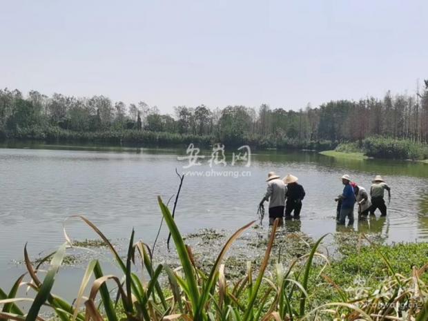 长沙多部门回应水上野划乱象