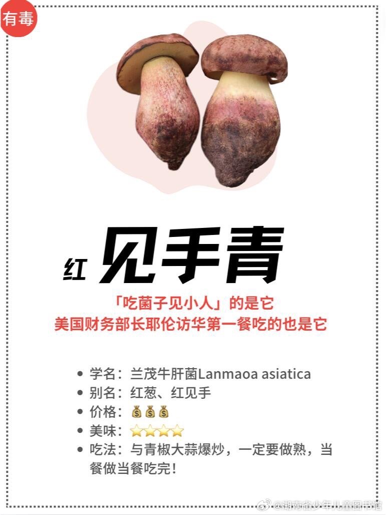 女子吃见手青产生看见小人幻觉