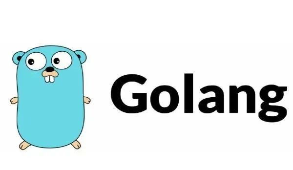 2014世界杯亚军算成功吗？用golang逻辑拆解这个问题