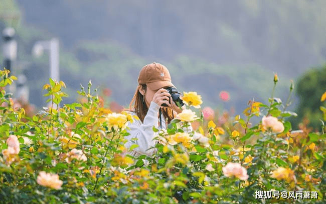1. 梦想的萌芽