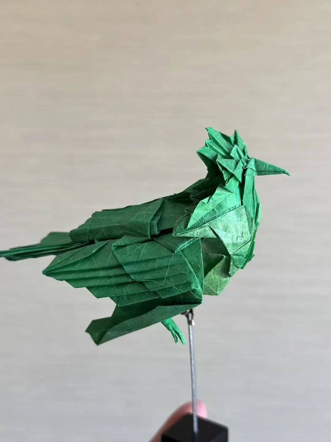 初中生沉迷折纸近十年 作品惊艳网友