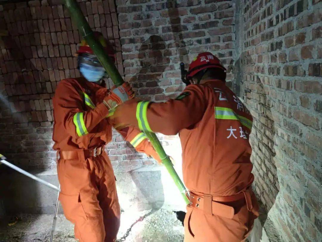 村民报警抓蛇，没想到是买1送22