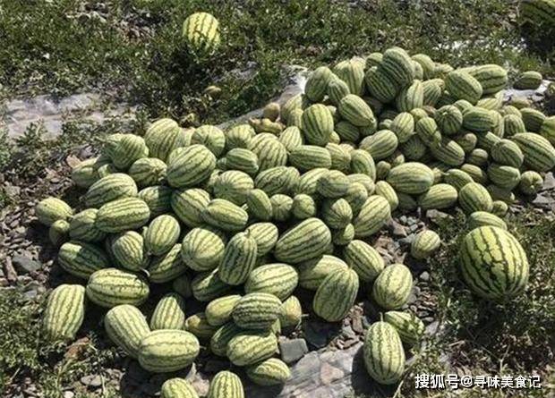 宁夏辟谣硒砂瓜滞销烂市