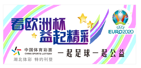 如何买欧洲杯比赛彩票，一个老彩民的血泪经验（Golang版）