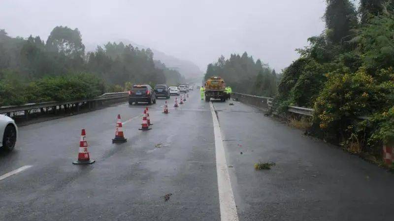 大连内涝，车辆被冲入2米深水渠的警示与反思