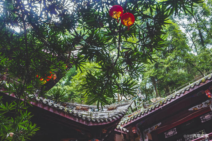 旅游博主在青城山学猴哥打卡